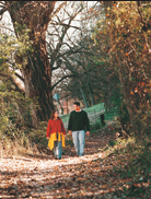 Cameron Park